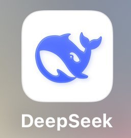 learn deepseek logo